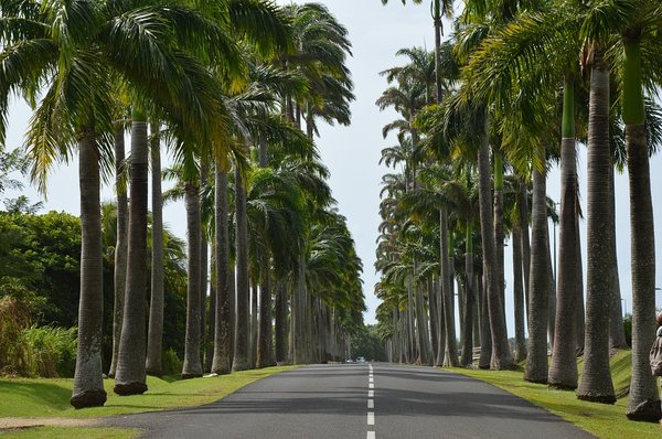 Se mettre au vert : les meilleures idées pour un séjour en guadeloupe